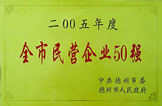 2005全市民营企业50强